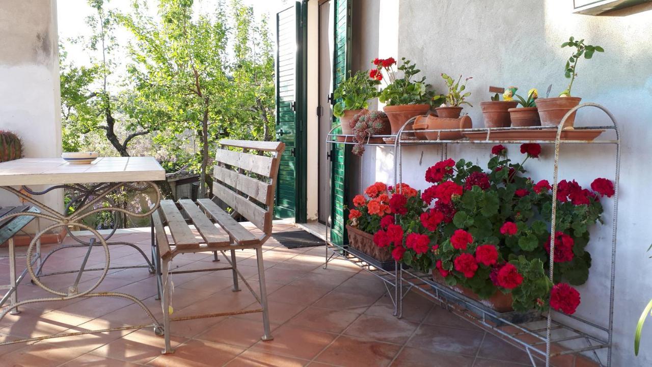Appartement Casa Di Giulia à Santa Luce Extérieur photo